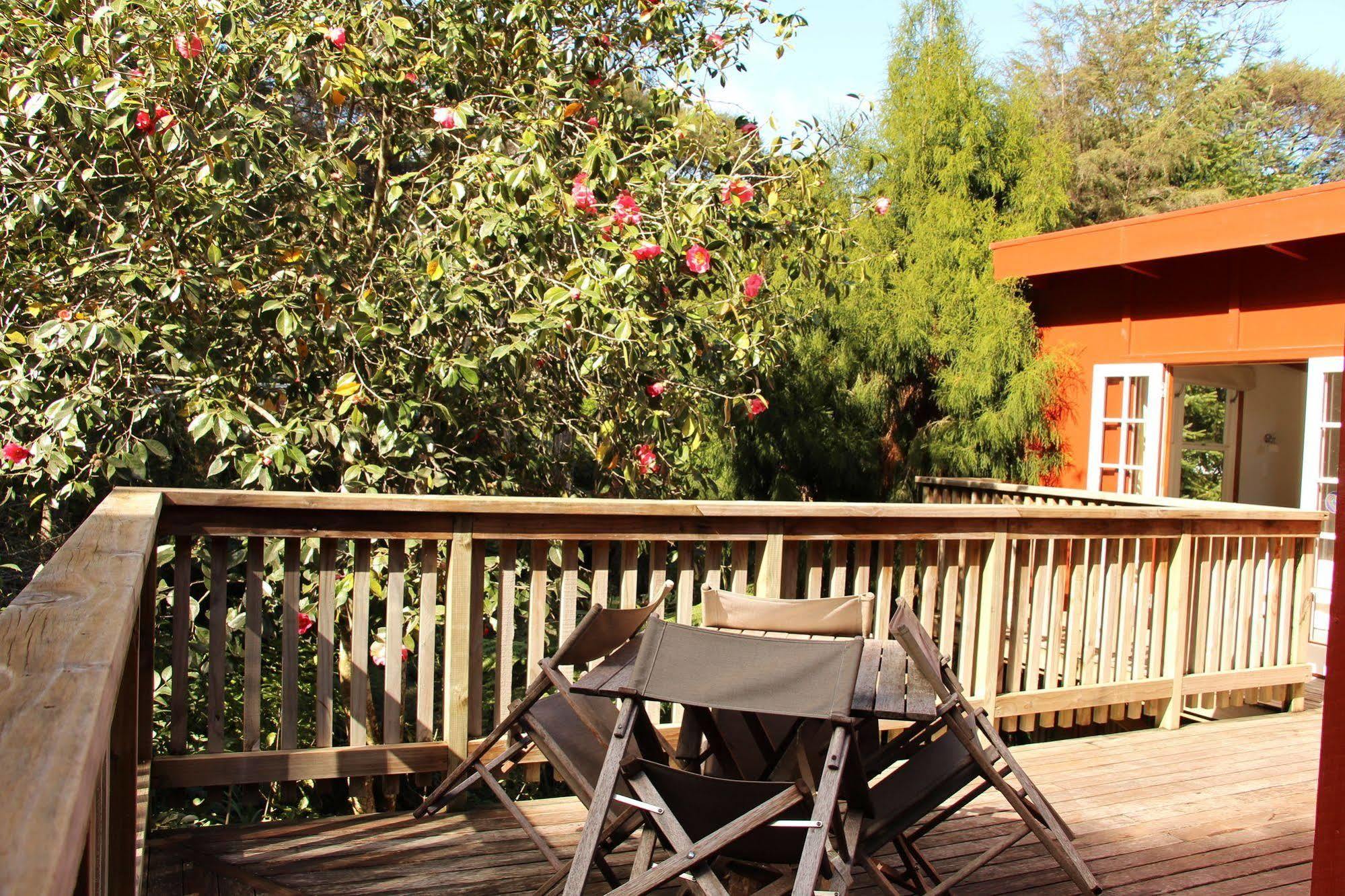 The Coromandel Treehouse Exteriör bild